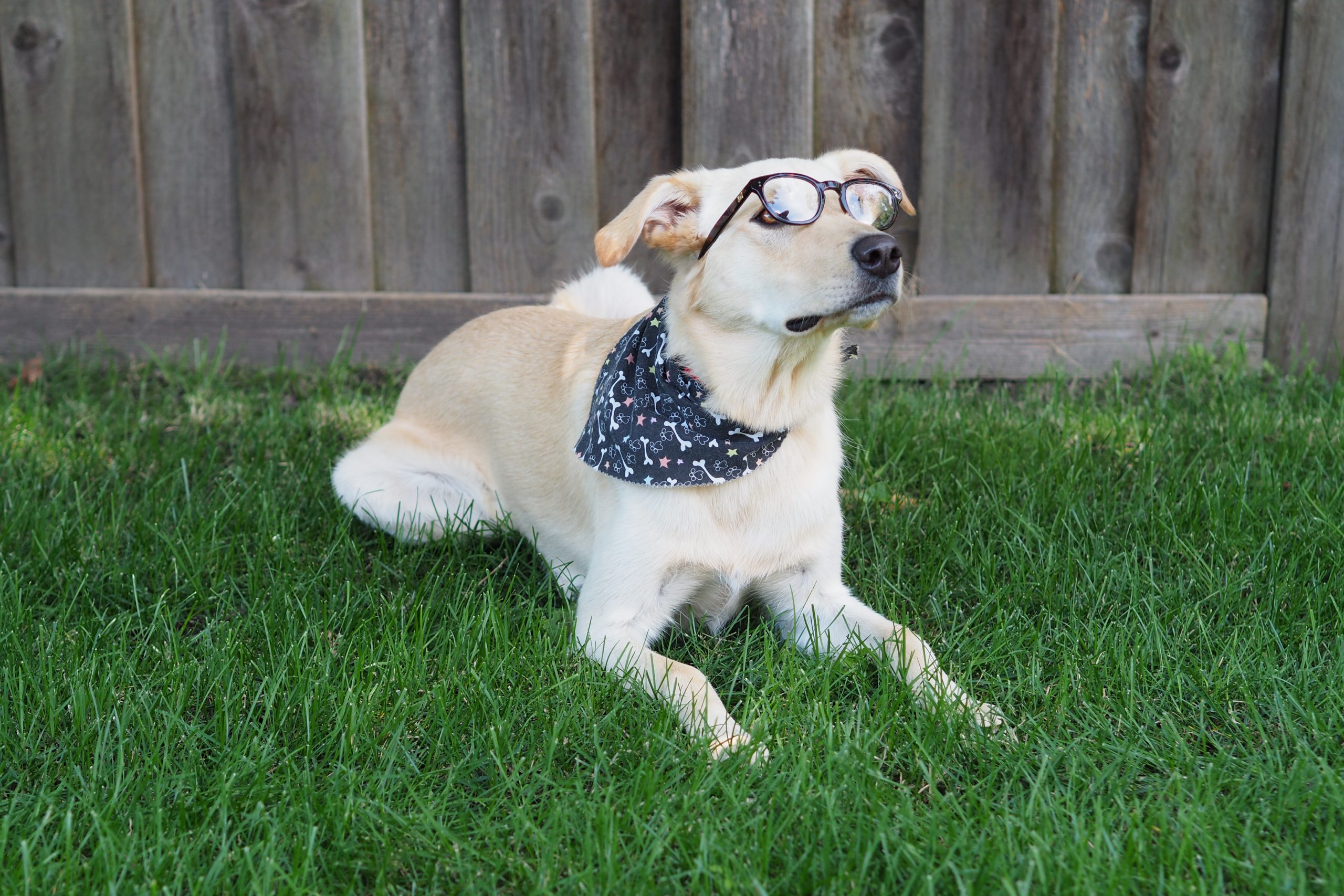 Optometry Podcast: Twenty4K LLC with Chelsea Laden