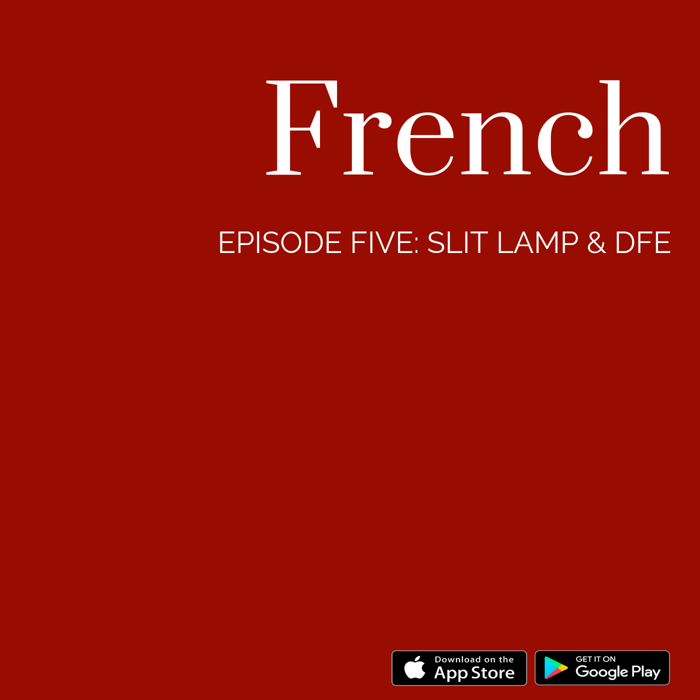 The OpTranslate Podcast French: Slit Lamp & DFE