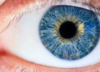 Optometry Podcast: Myopia Management in Practice