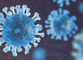 CORE Study Shows Importance of Rub and Rinse Regimen for Coronavirus Removal from Contact Lens Materials